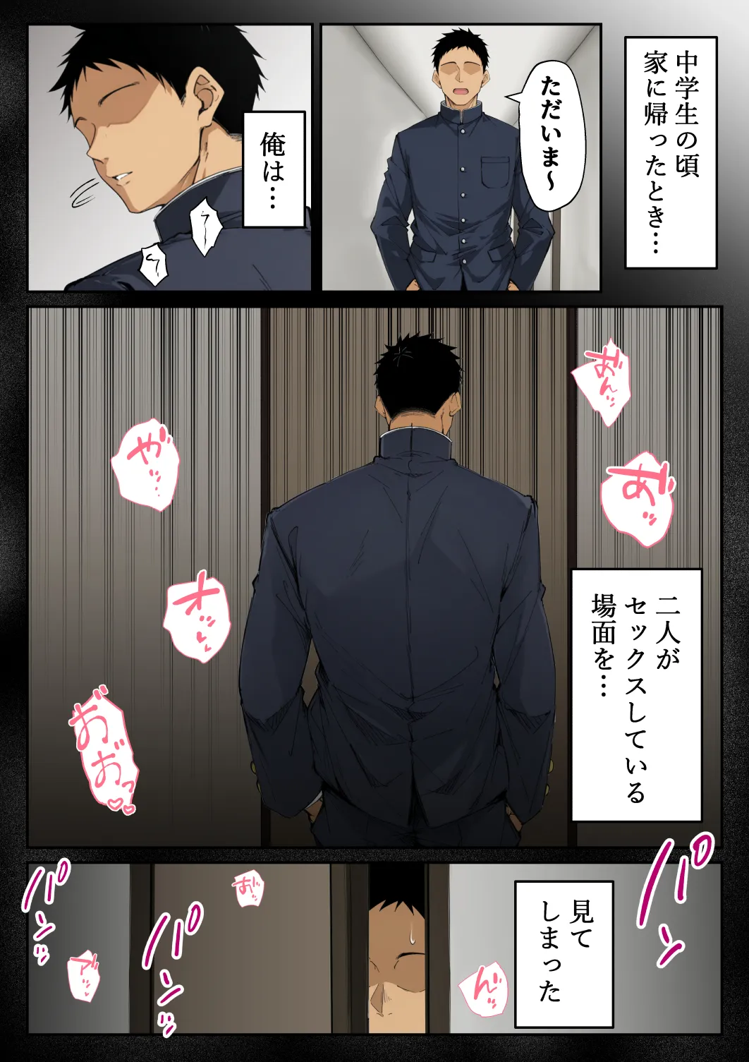 ずっと憧れていた兄嫁からネトラセ竿役を頼まれた話 - 12ページ