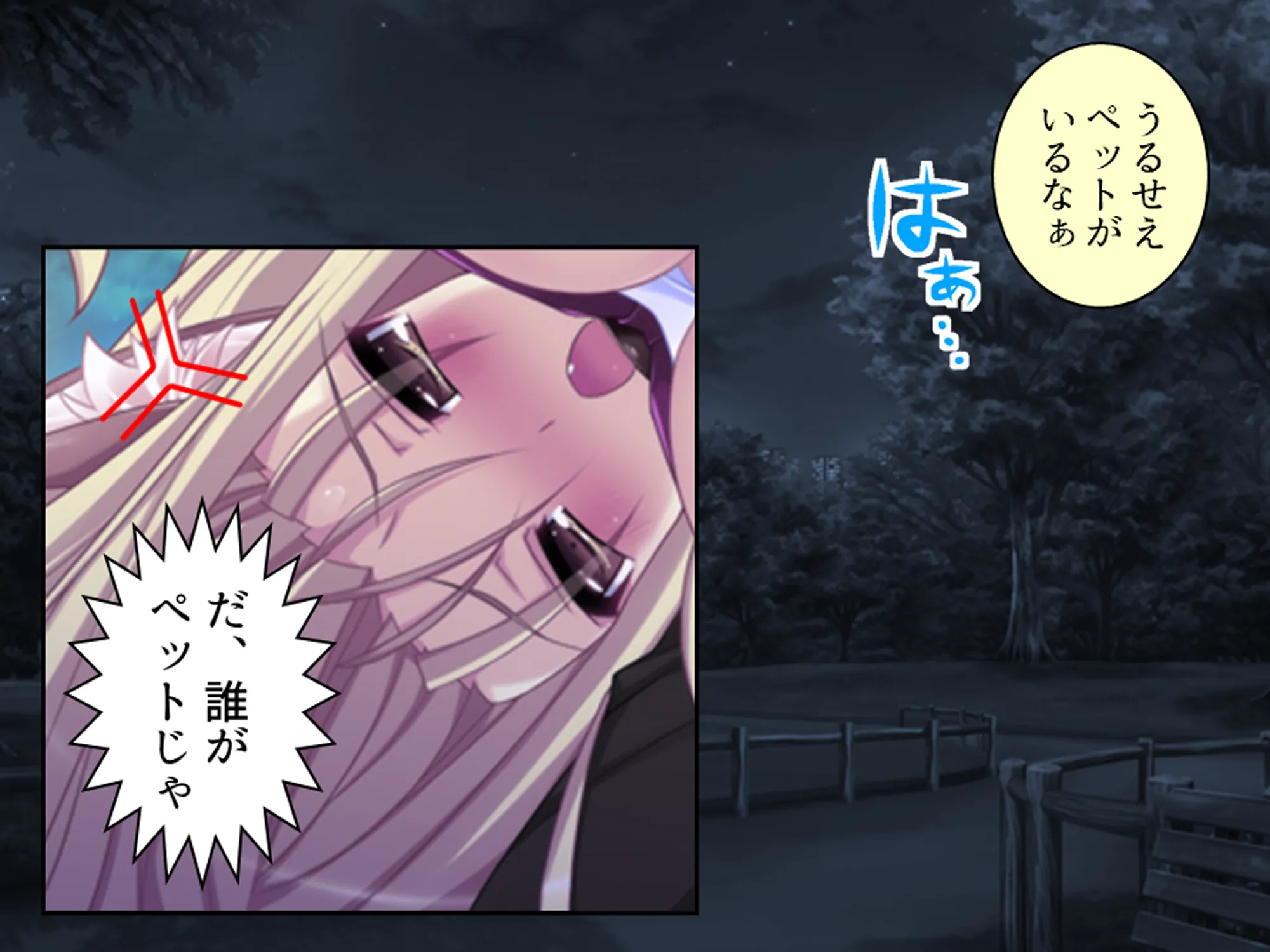 俺をエロで篭絡!ロリ守護霊と妖怪女狐のHな同居性活 6巻 - 14ページ